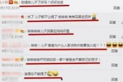 娱乐吃瓜 汪小菲微博号,娱乐吃瓜背后的故事”