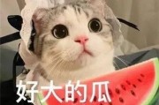 娱乐吃瓜君网红虐猫